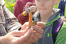 Саратовские школьники прошли 18 километров по лугам, оврагам и лесной чаще